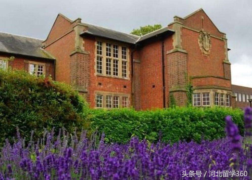 英国音乐教育专业就业前景,英国留学生物技术就业前景如何