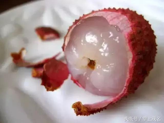 茂名最惊艳的城市,茂名城市美景