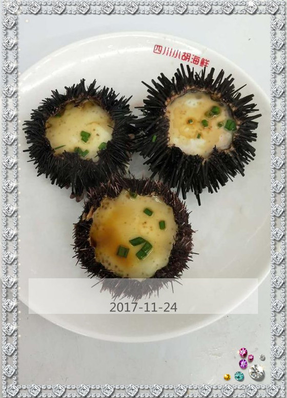 二货三亚五晚六天自由溜达