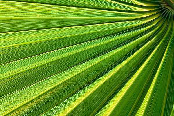 装修设计涂料,家居设计导读