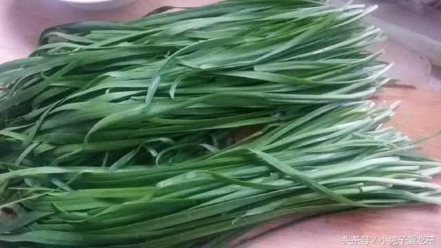 吃哪几种食物可以保护眼睛,保护眼睛多吃哪些食物有帮助