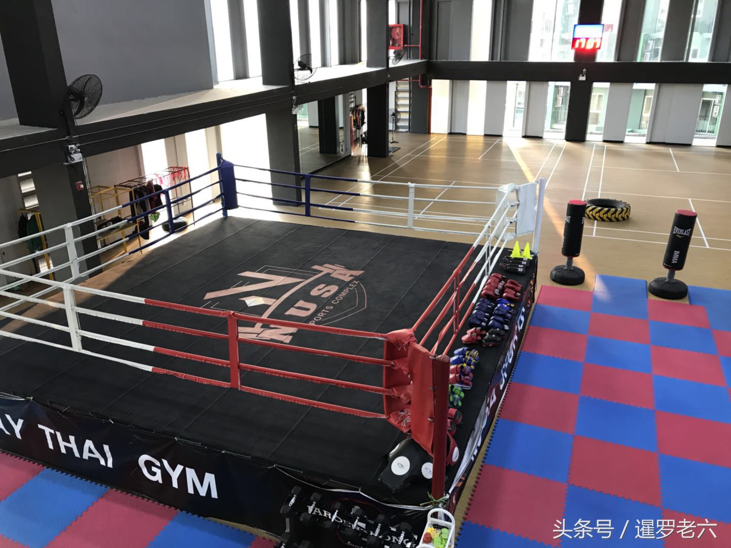 泰国报个“泰拳班”，练十次收费八百元，贵不？教练还有金腰带！