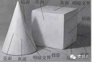 理解素描明暗交界,素描理解转折