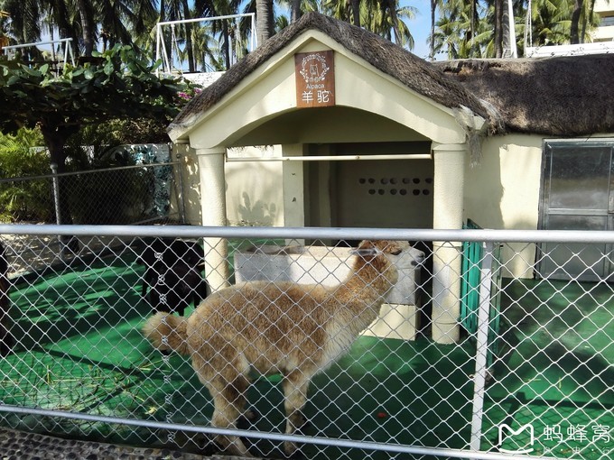 三亚旅游全攻略带孩子必玩,带小孩感受阳光与海滩