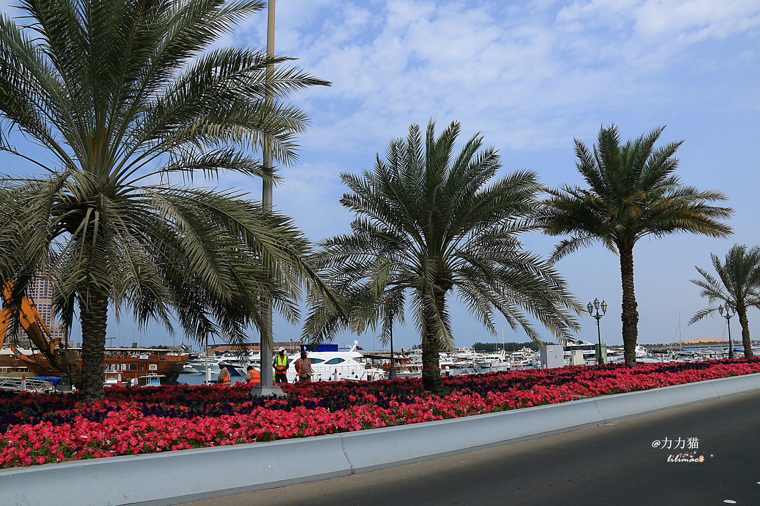 阿联酋：谁富有要看门口的树