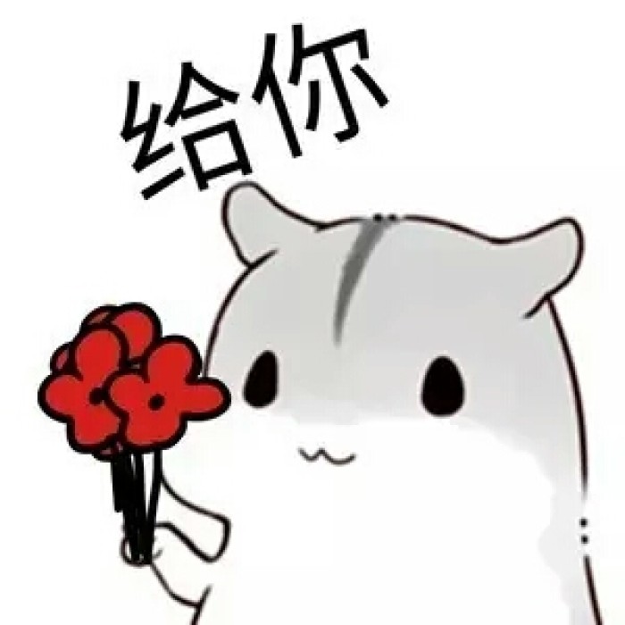 怎样看待网上购买宠物,怎么看待网上买宠物