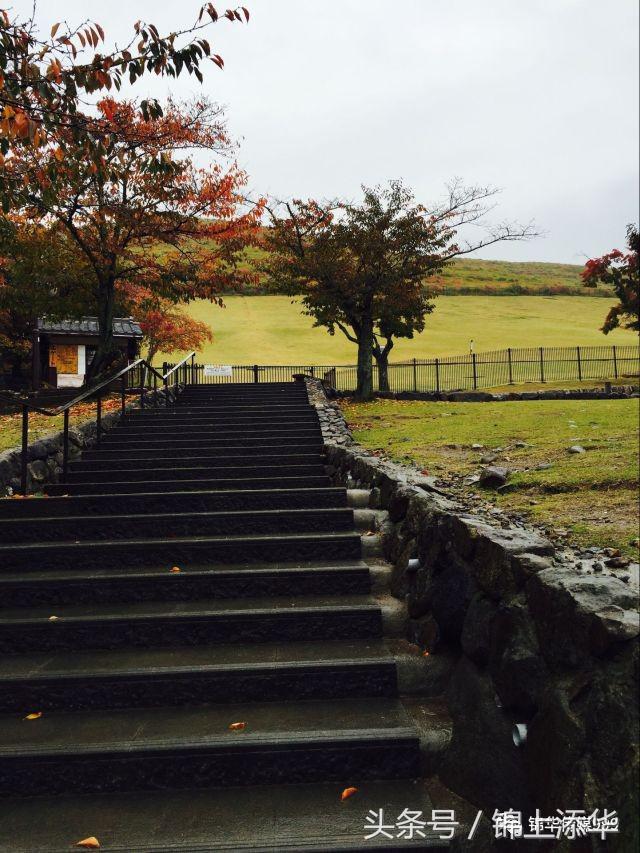 去日本旅游最新攻略,去日本旅游最详细攻略