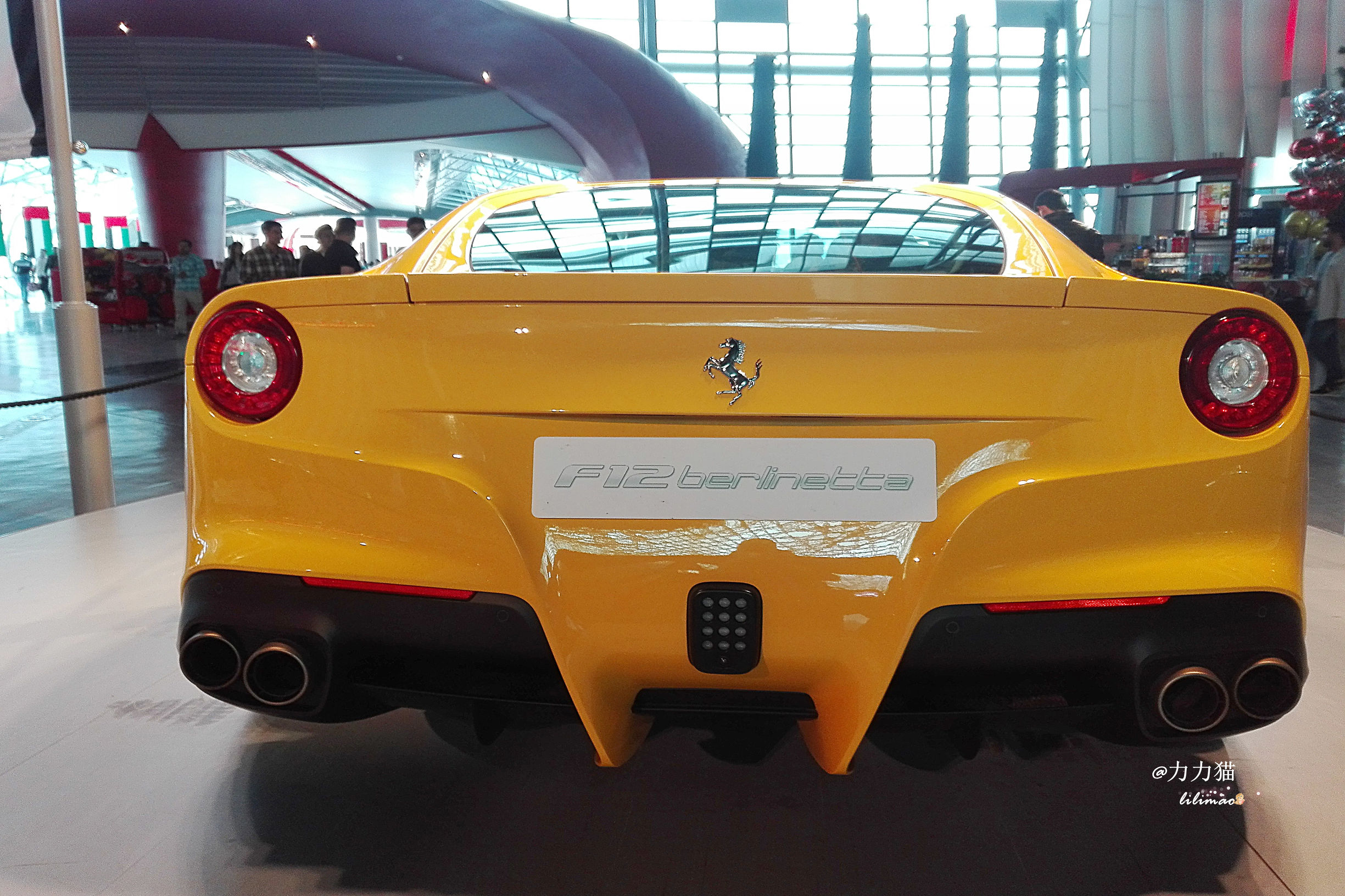 阿联酋：谁富有要看门口的树