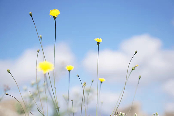 旅行会改变生活和命运,旅行会变成我的生命中的一部分
