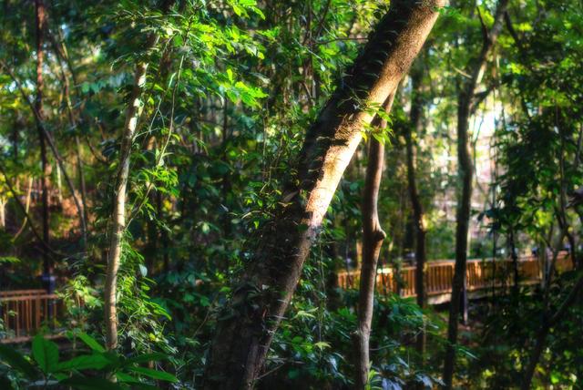 空山有灵,漫步阡陌