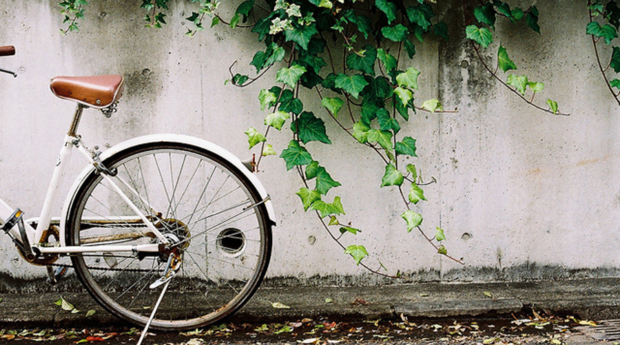 怎样走出一个人心浮躁的社会,社会太浮躁是怎么回事