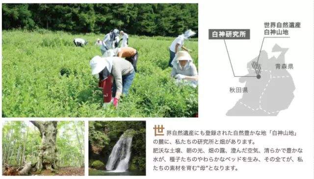 奥尔滨albion补水,澳尔滨健康水新款