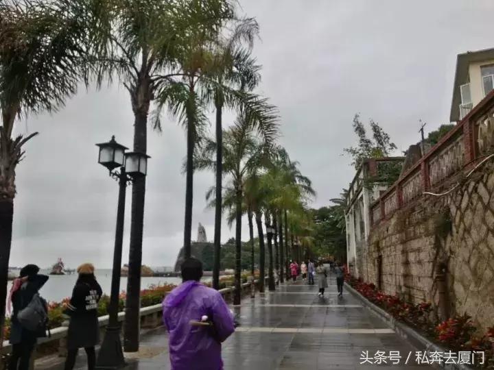 太任性!厦门即将热回夏天!速冻+升温随意切换,下周将迎26℃