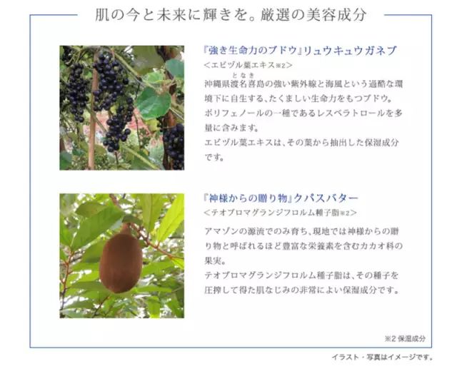 澳尔滨健康水有几个系列,albion奥尔滨健康水好用吗