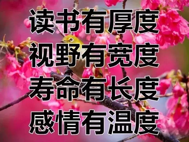 我的相册视频,十寸相册