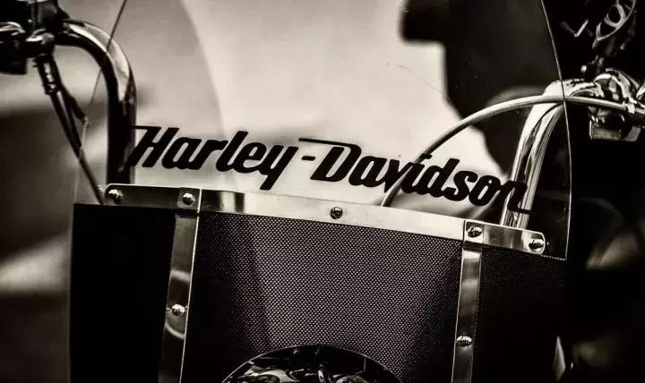 一切从你的名字开始,如何取好一个品牌名