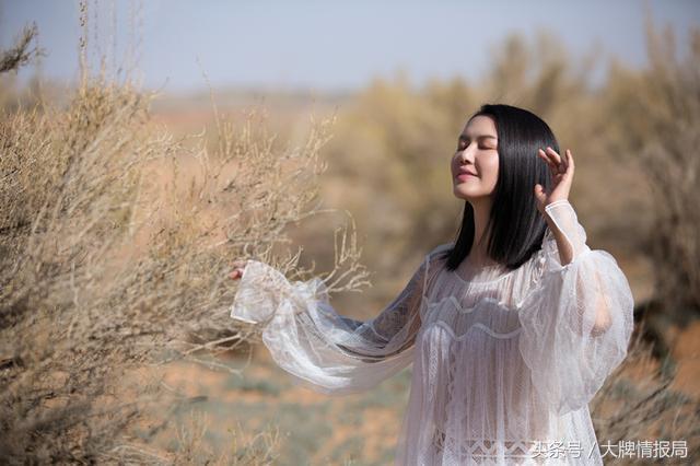 张靓颖上央视,张靓颖上湖南卫视