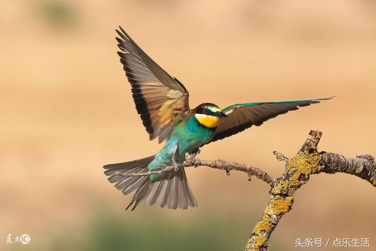 人生5福,人生5福是什么