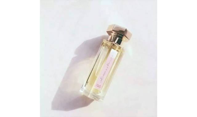 记忆中的他免费完结在线阅读,记忆中的他开头结尾