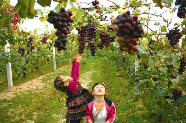 你真的了解森岛帆高吗,威海临港区未来有发展前途吗