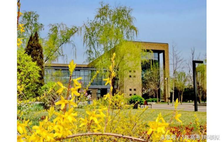 我国的财经大学哪家强,中国的财经类大学排名