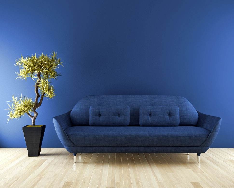 甲醛最怕哪三个克星,甲醛最怕的4个小妙招