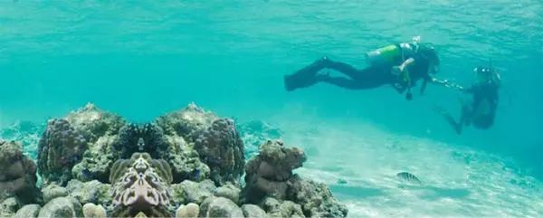 椹皵浠ｅか瀹夌撼濉旀媺绗涘彜宀涘害鍋囨潙,椹皵浠ｅか鐨勫害鍋囨潙