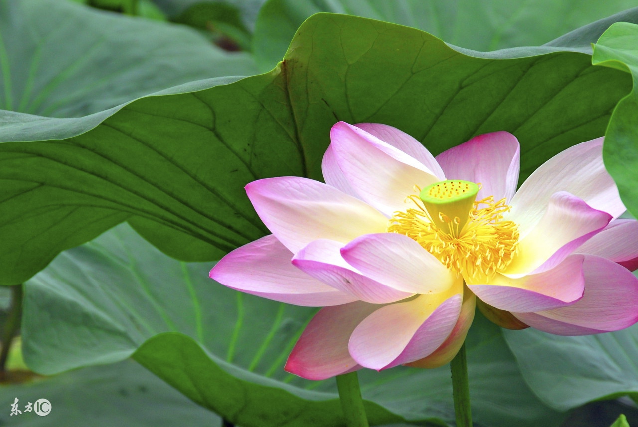 生活中简单的减肥方法有哪些呢,平常一些减肥的小方法