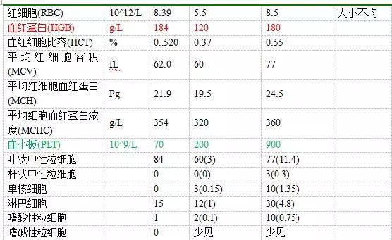 宠物狗胰腺炎的症状与治疗方法,狗狗胰腺炎其实和犬种有关