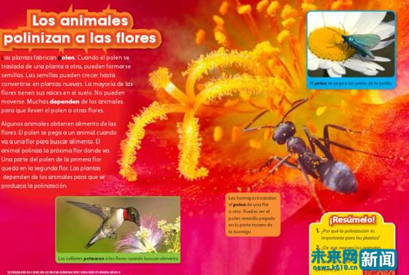 香港小学英语单词,香港小学的英文是什么水平