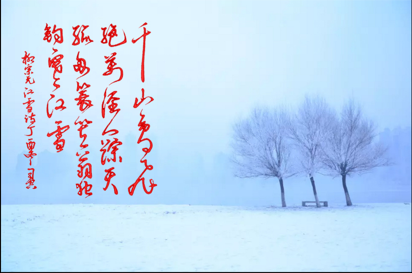 唐诗宋词经典佳句意境,唐诗宋词经典孤帆远影碧空尽