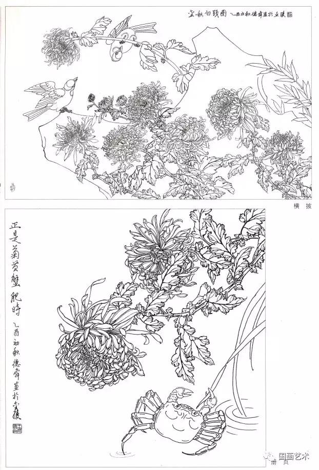 工笔菊花画法步骤示范,工笔菊花设色步骤
