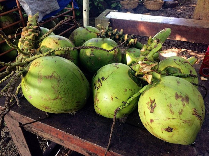 野鹅自驾：3天带你畅玩海口，椰风沐浴，体验不一样的慢旅行！