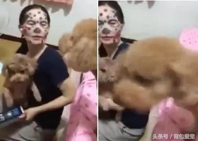 狗与面膜不可兼得，看到主人敷面膜...汪星人夺门而逃！