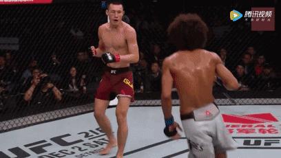 擂台被踢裆的选手后续,盘点擂台上被人羞辱的人