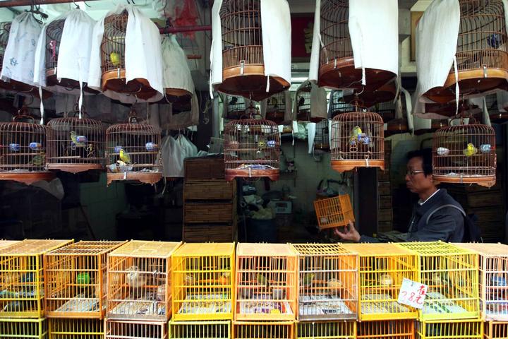 如何玩透众包,如何玩透一款游戏