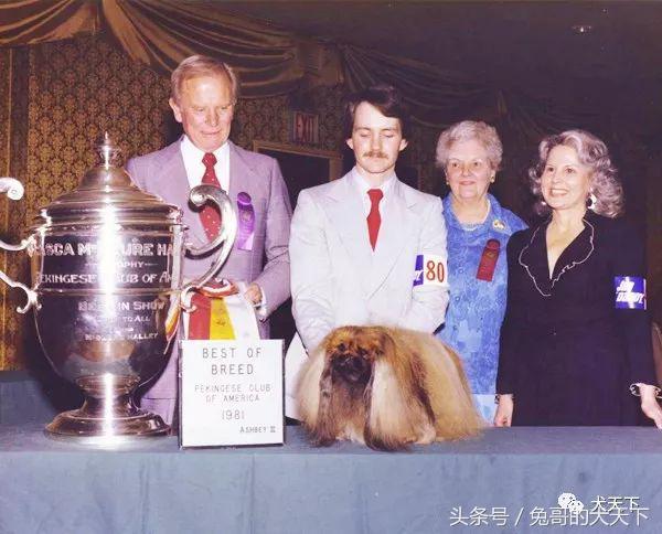 一个外国人把一生献给了中国,把一生献给中国的外国人