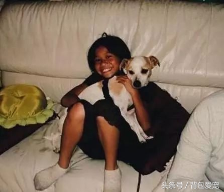 狗与面膜不可兼得，看到主人敷面膜...汪星人夺门而逃！