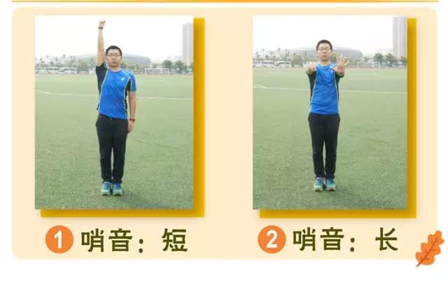 体育口令口哨怎么吹,体育口哨口令