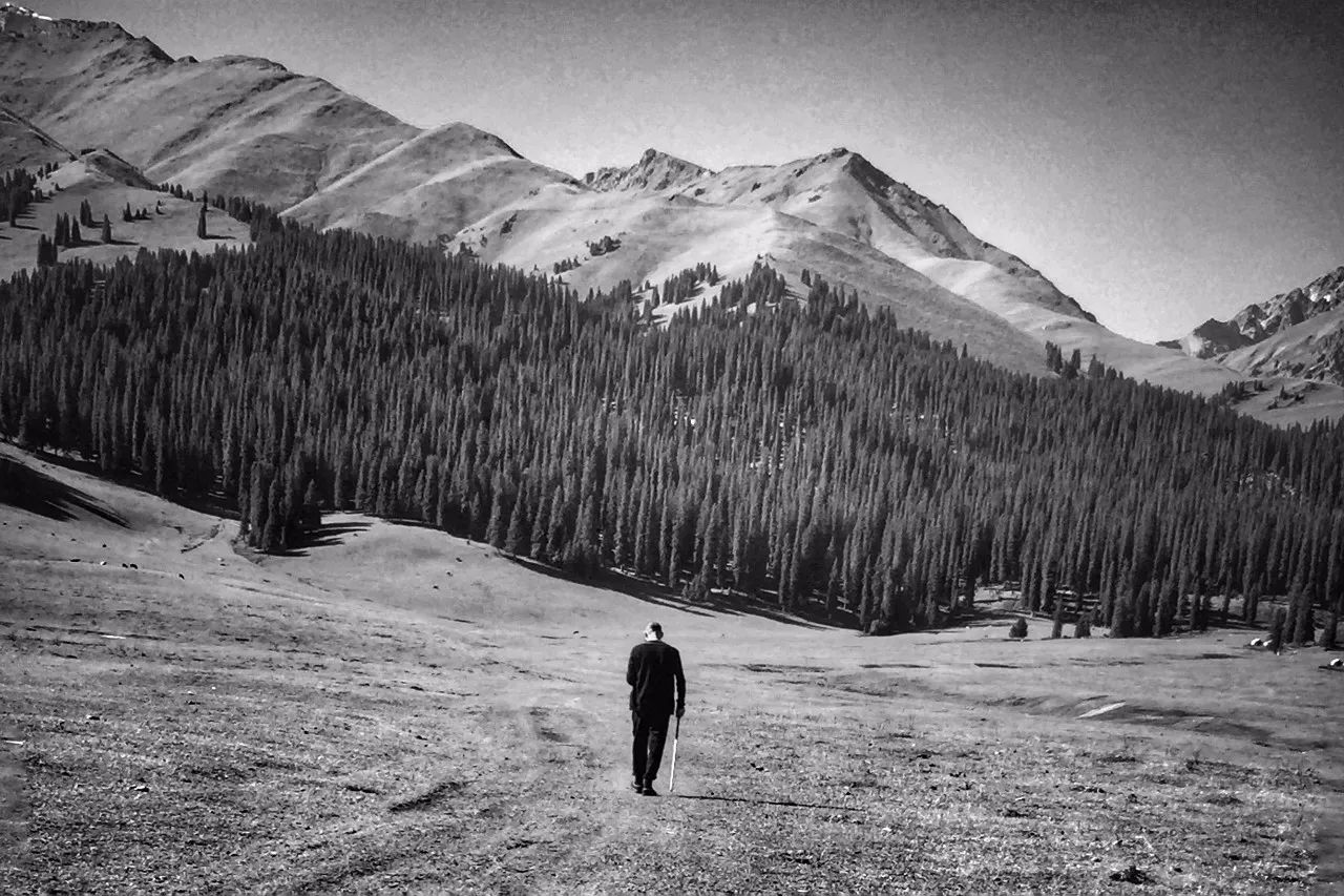 海上牧云记正剧,海上牧云记好看吗