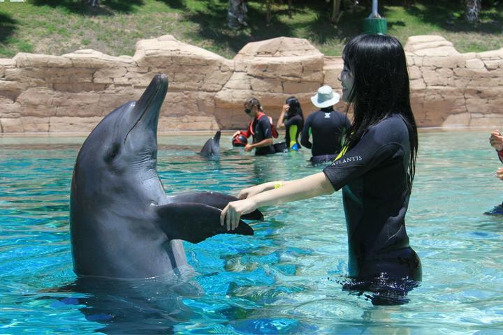 如何去迪拜最省钱,迪拜出行怎么省钱