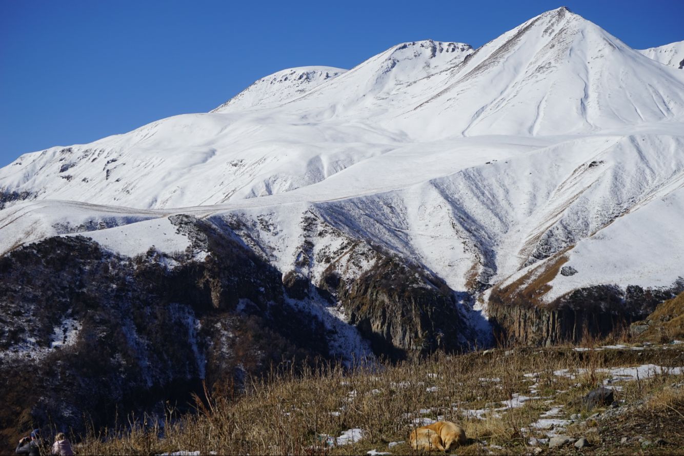 亚美尼亚火车入境格鲁吉亚全攻略,格鲁吉亚入境全攻略