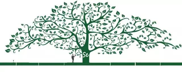 硒之科普硒之未来 (硒的发现与发展过程详细介绍)