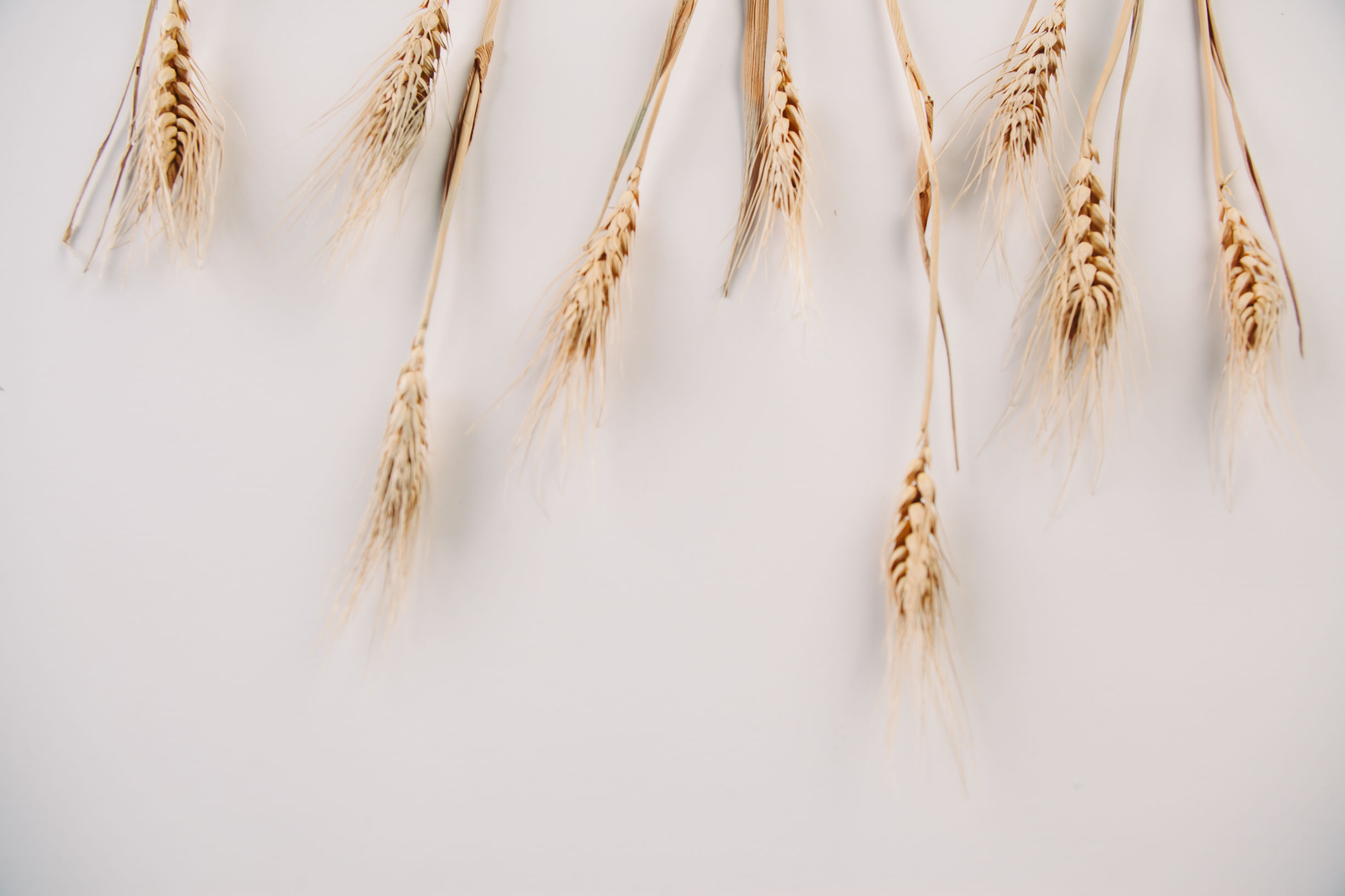 你应该知道的导尿及膀胱冲洗护理操作要点