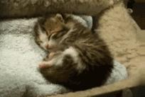 自家装修预算干货,快速做家装预算方法