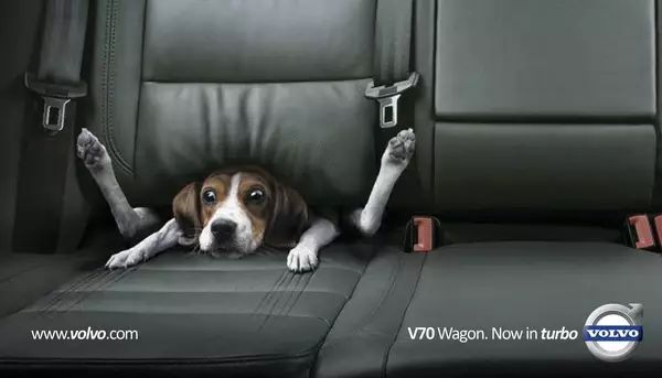 瑞典是什么系的车,瑞典汽车是什么样的存在