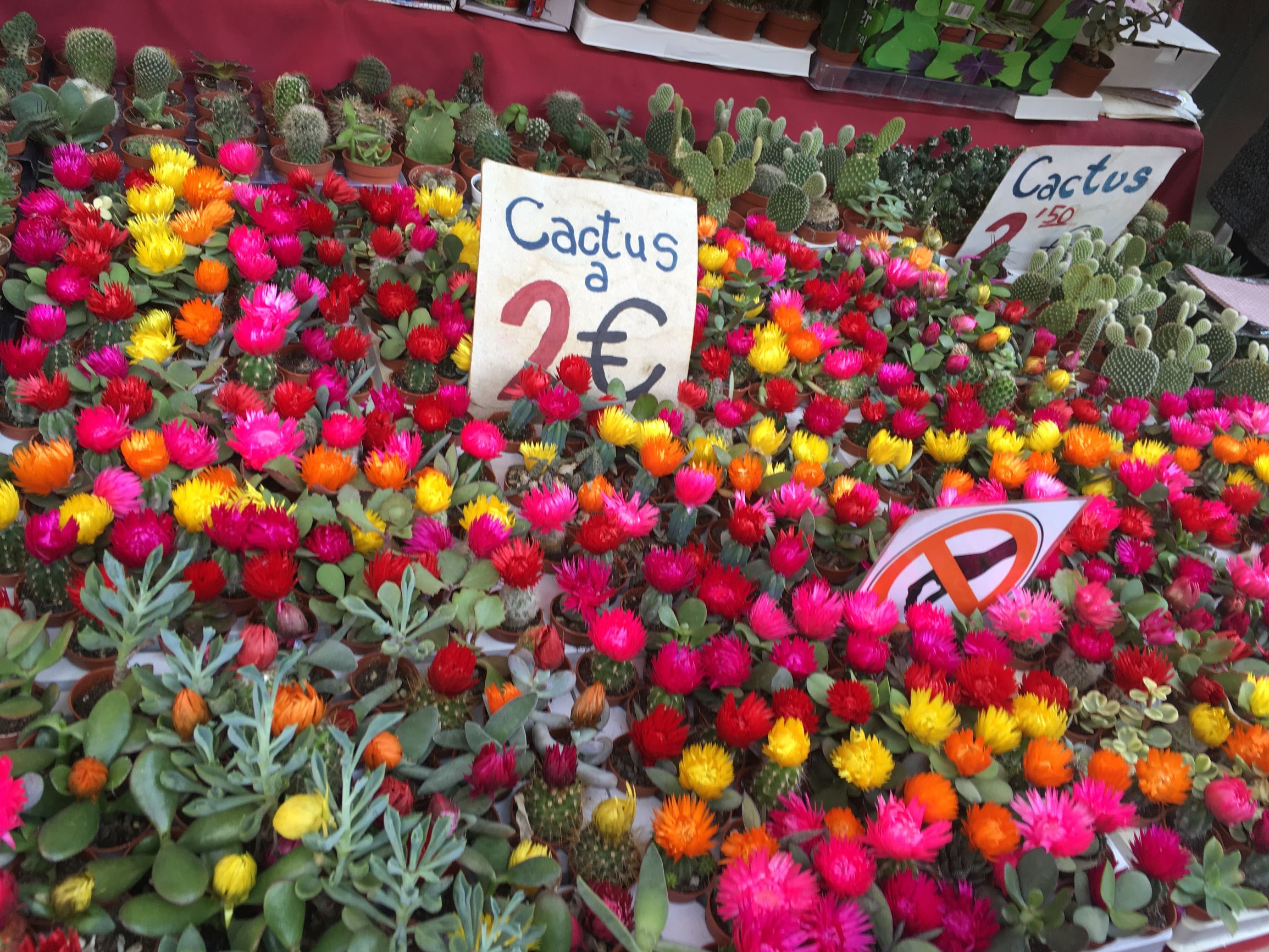 西班牙葡萄牙跟团游北京出发,西班牙旅游旅游团推荐