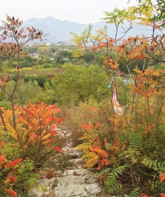 北京四个踏青必备的免费公园,北京小众湿地公园