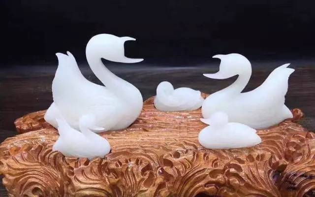 价值暴涨的收藏品,砗磲升值空间有多大