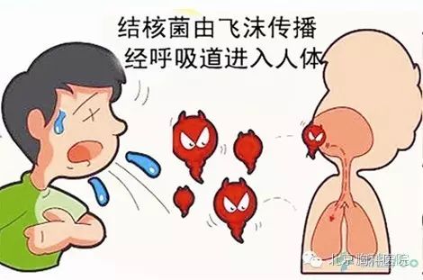 科普结核病防治核心知识,结核病科普知识创意说明